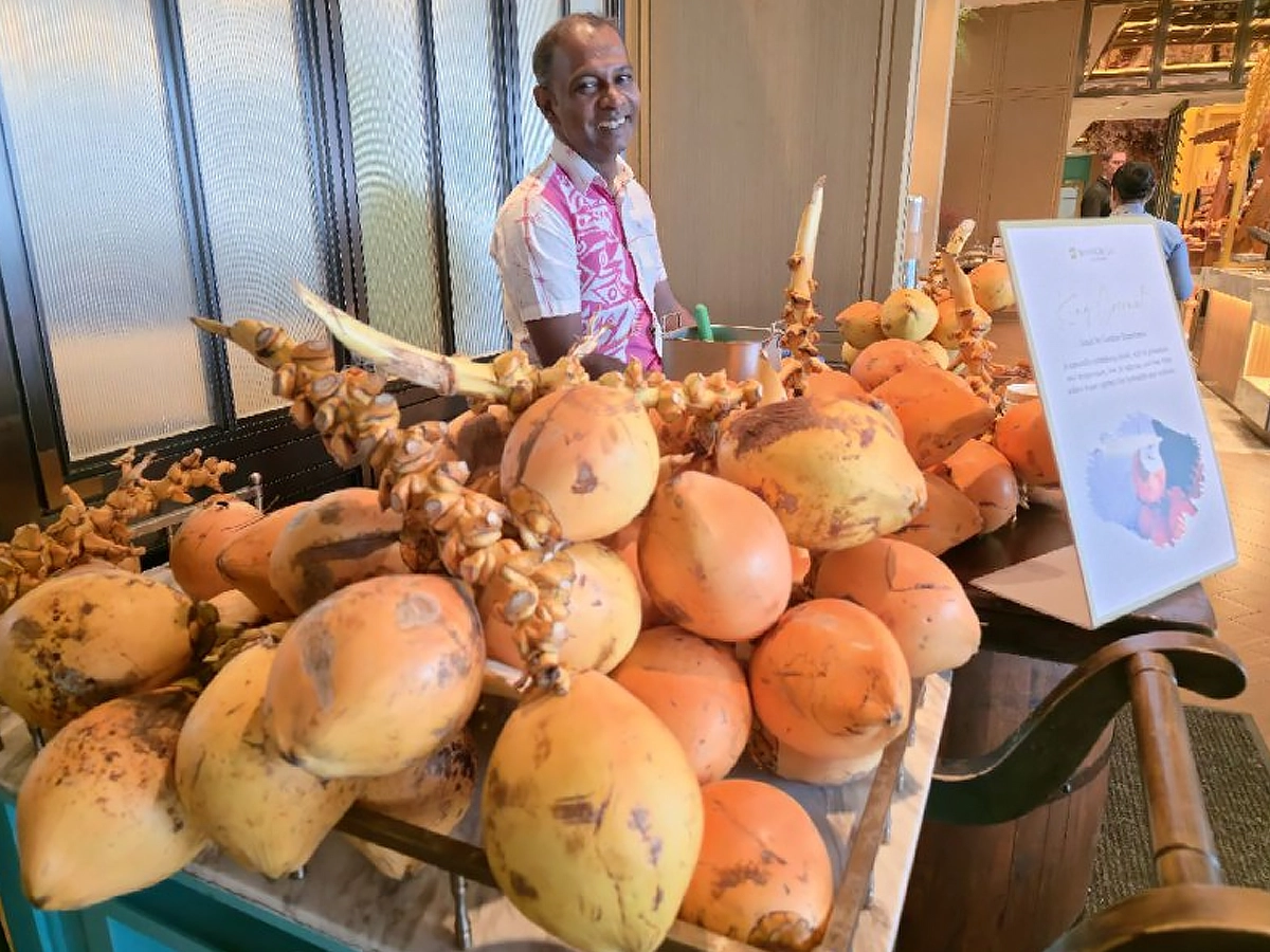 image 8 Sri Lanka – RACUS GROUP : Asie – relance et renforcement des relations